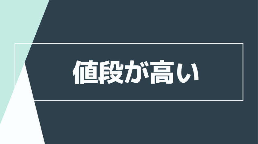 通常のオナホと比べて値段が高い
