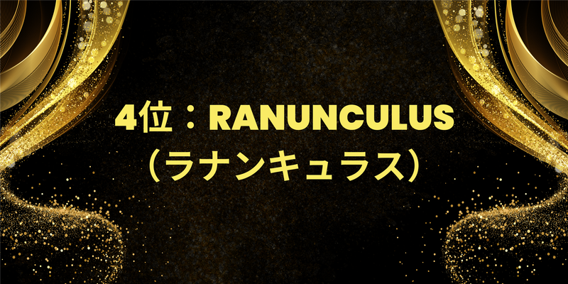 4位：RANUNCULUS（ラナンキュラス）