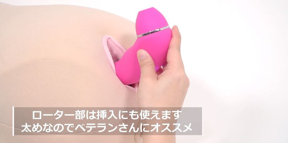 本体部分を中に挿入