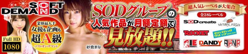 月額のソフトオンデマンド