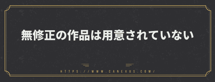 無修正はなし