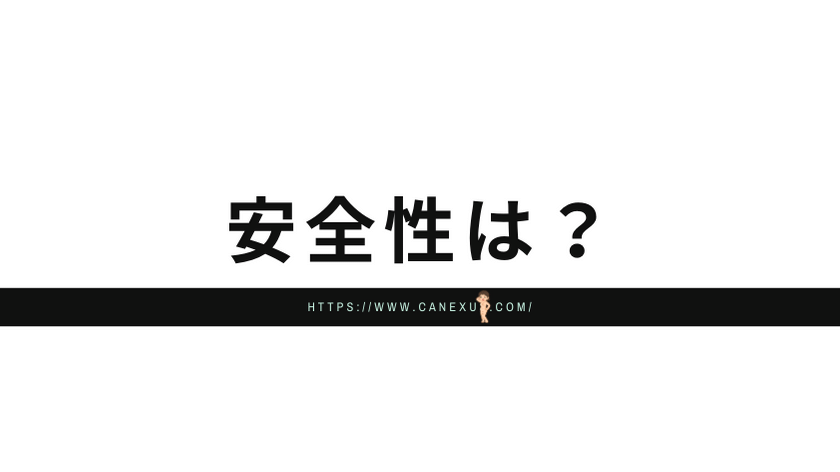 FANZAライブチャットの安全性は