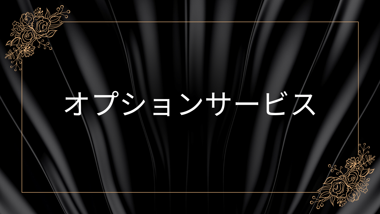 オプションサービス