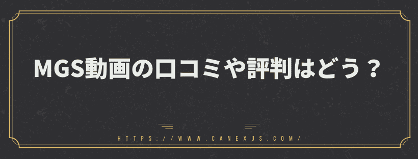 MGS動画の口コミや評判