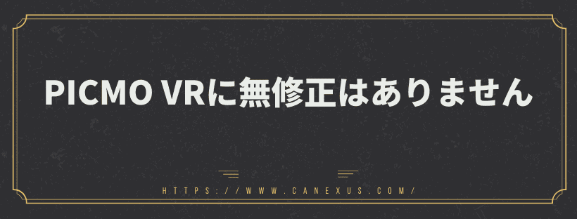 無修正はありません