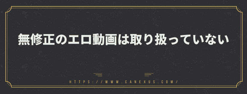 無修正のエロ動画はなし